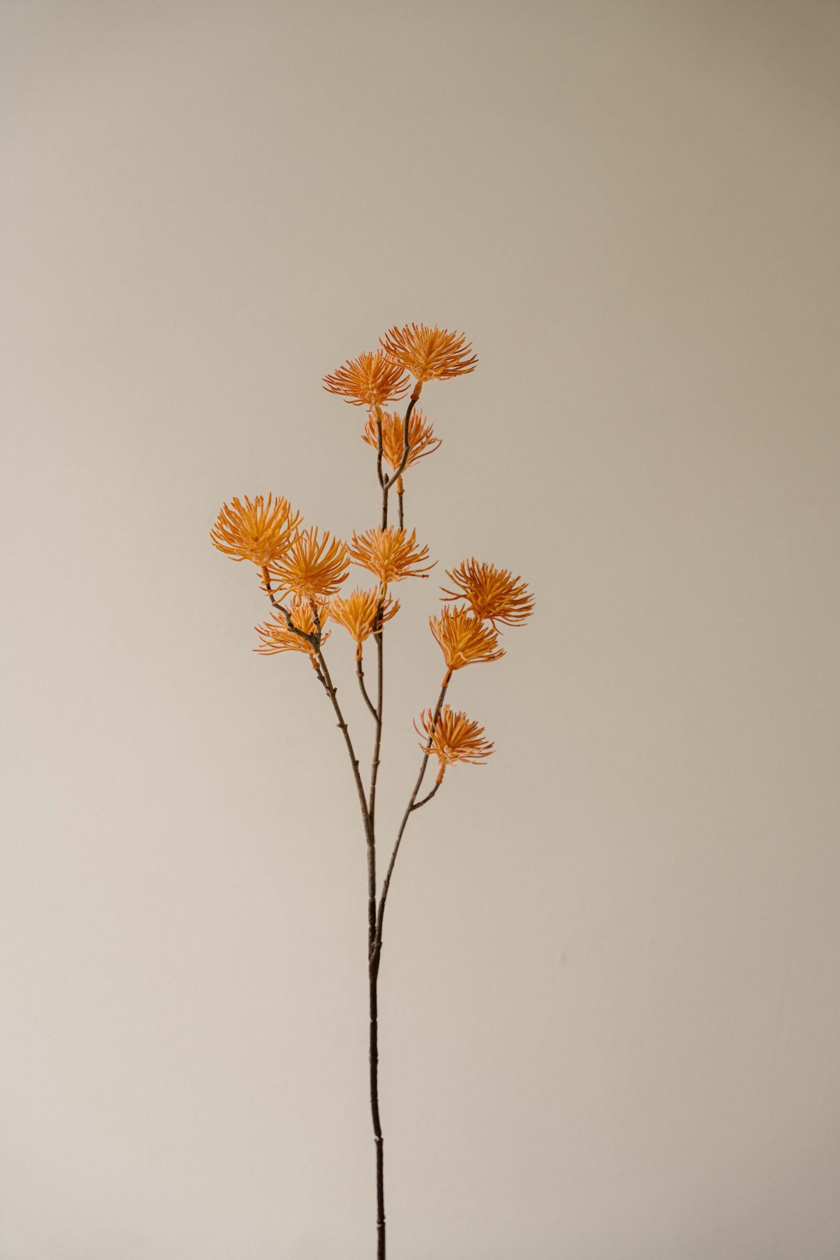 Indore Silva - Chrysanthemum - artificial branch - silk