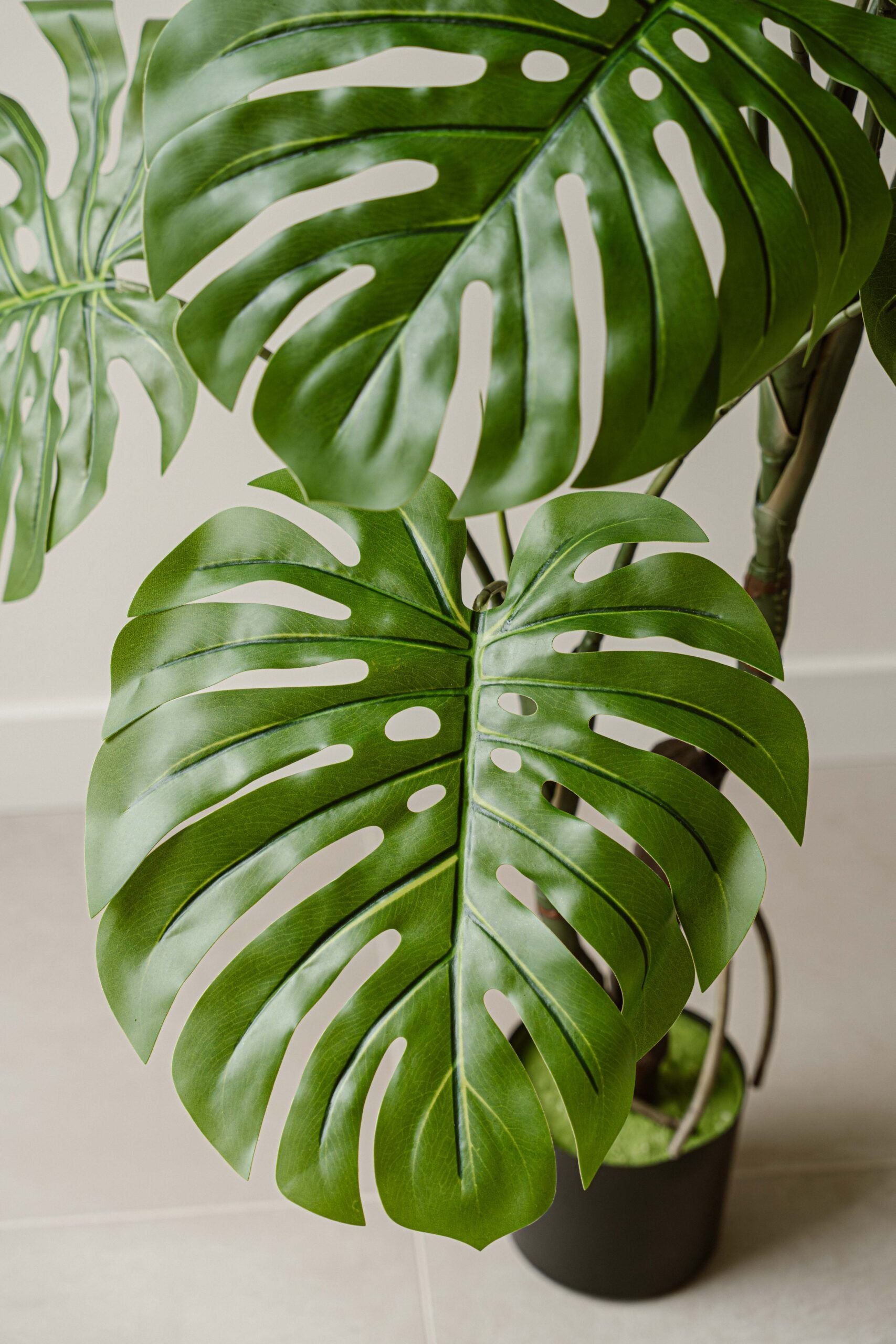 Indore Silva - Artificial Plant Monstera - 130cm