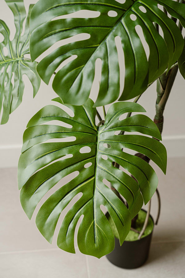 Indore Silva - Artificial Plant Monstera - 130cm