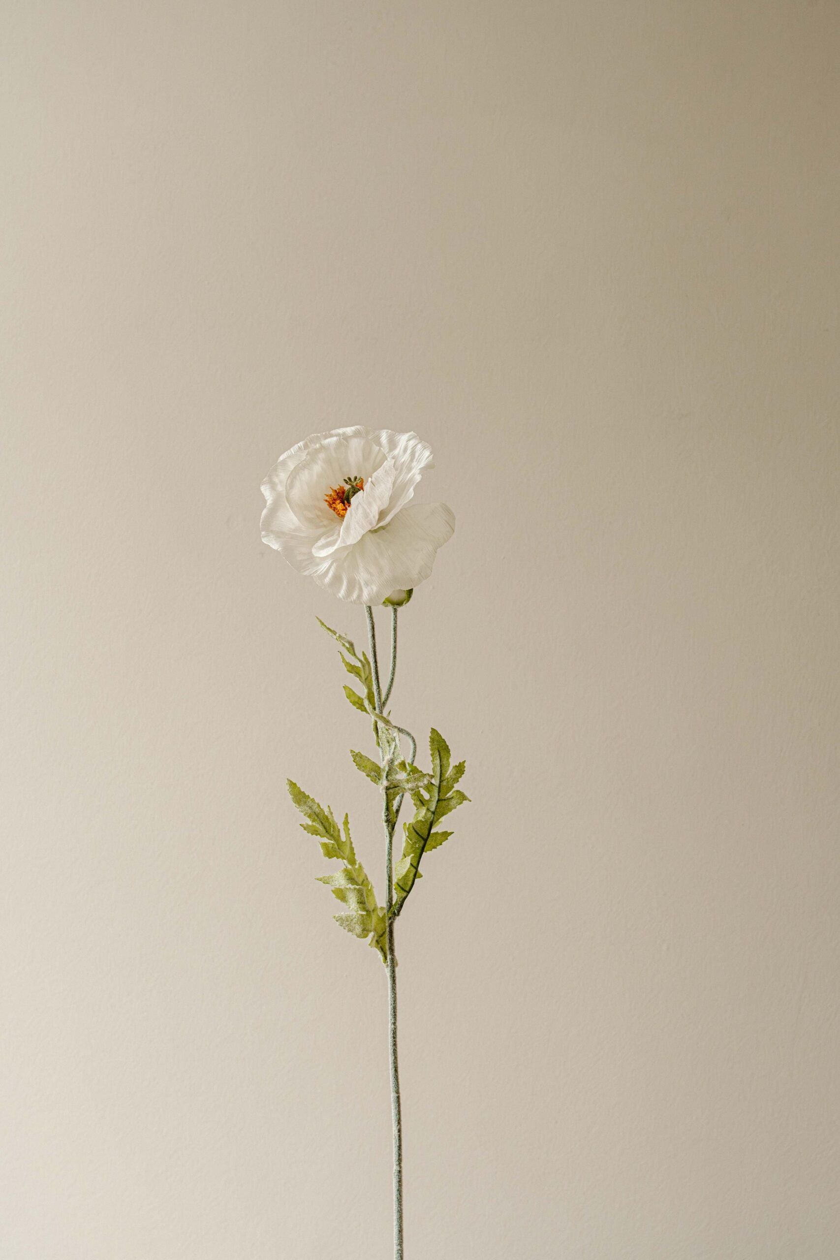 Indore Silva - Poppy - White - Artificial Branch - Silk