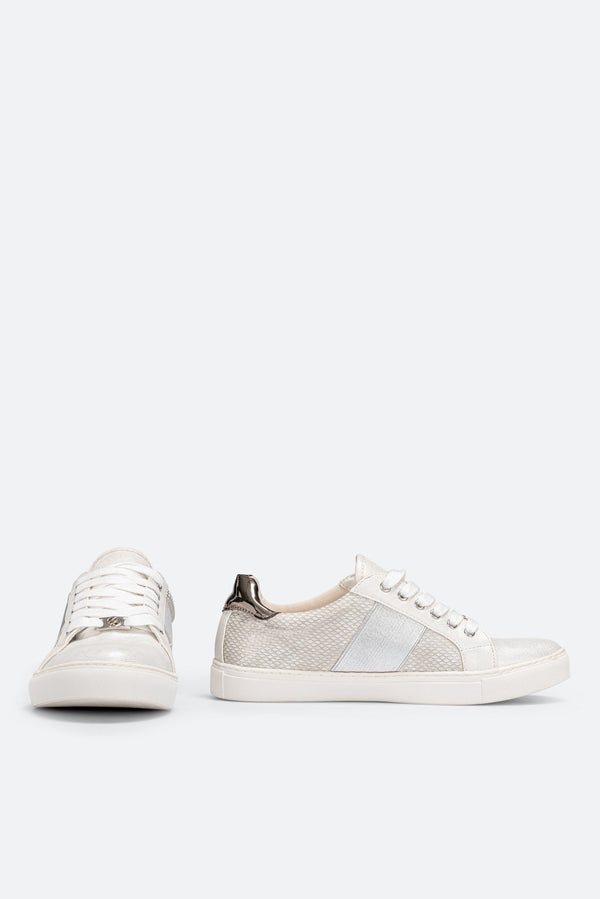 Sneakers Gattinoni