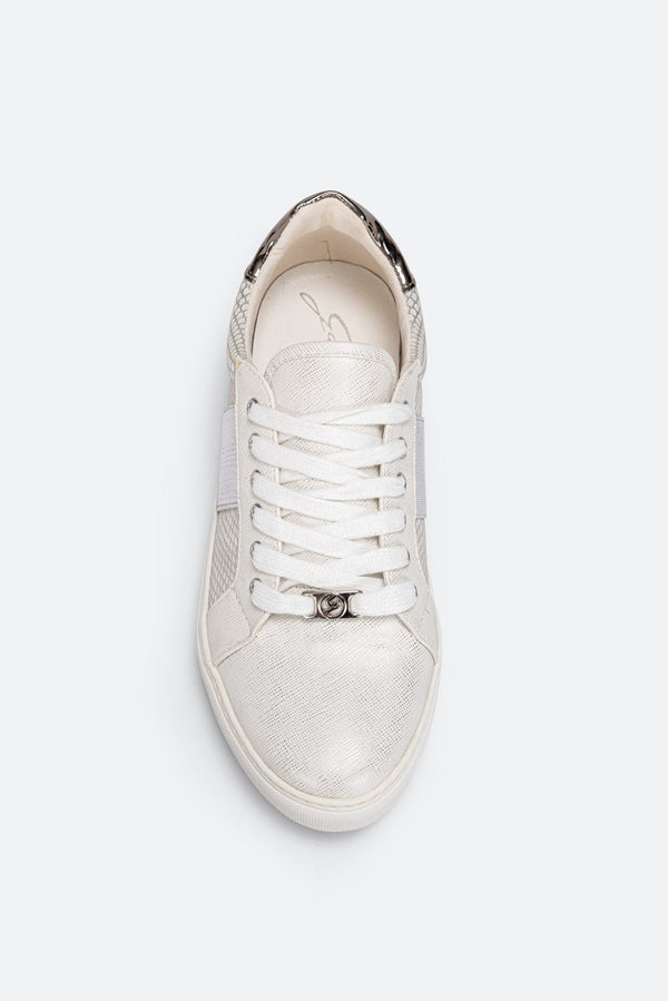 Sneakers Gattinoni