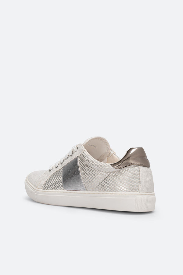 Sneakers Gattinoni