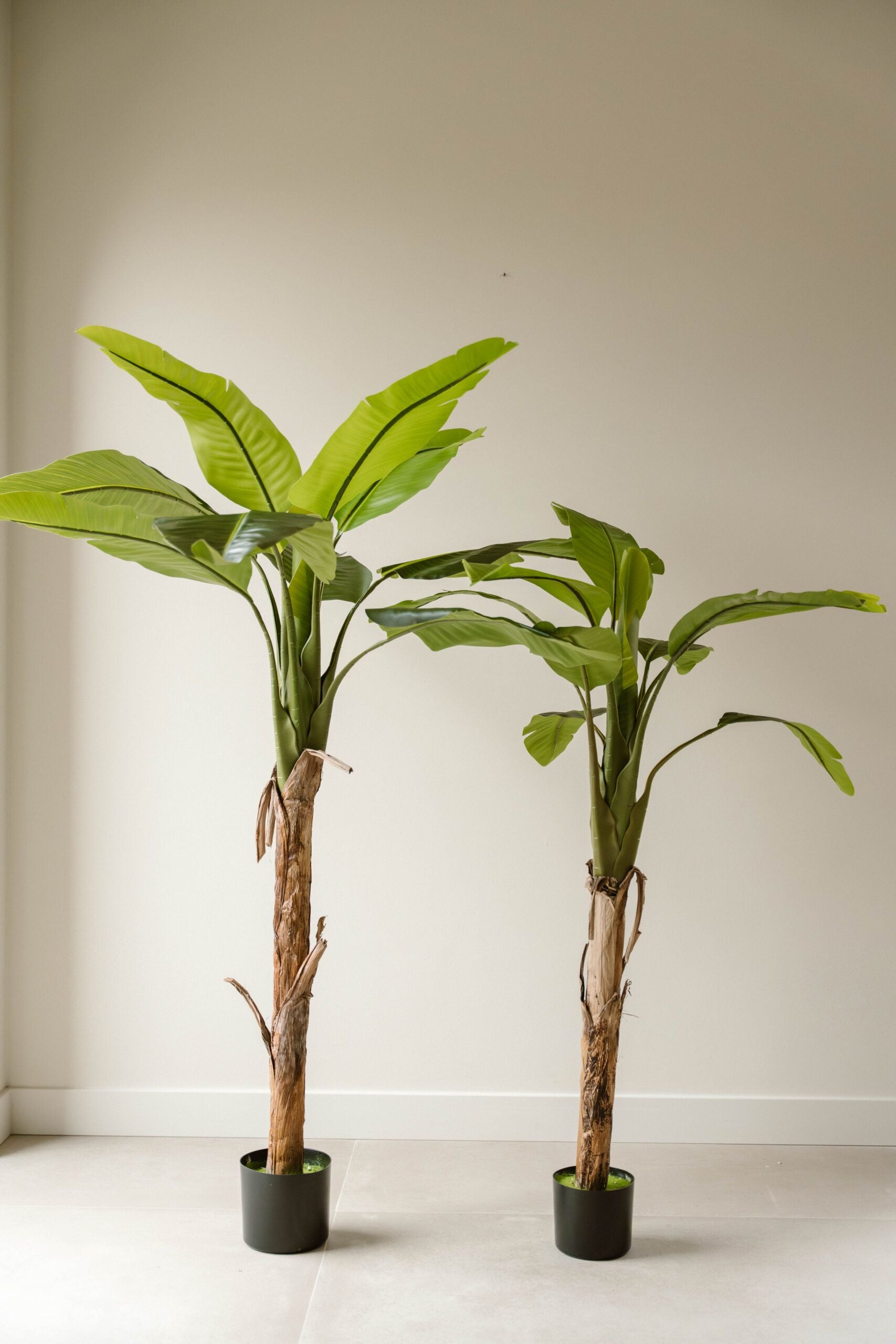 Indore Silva - Artificial Banana Plant - 120cm