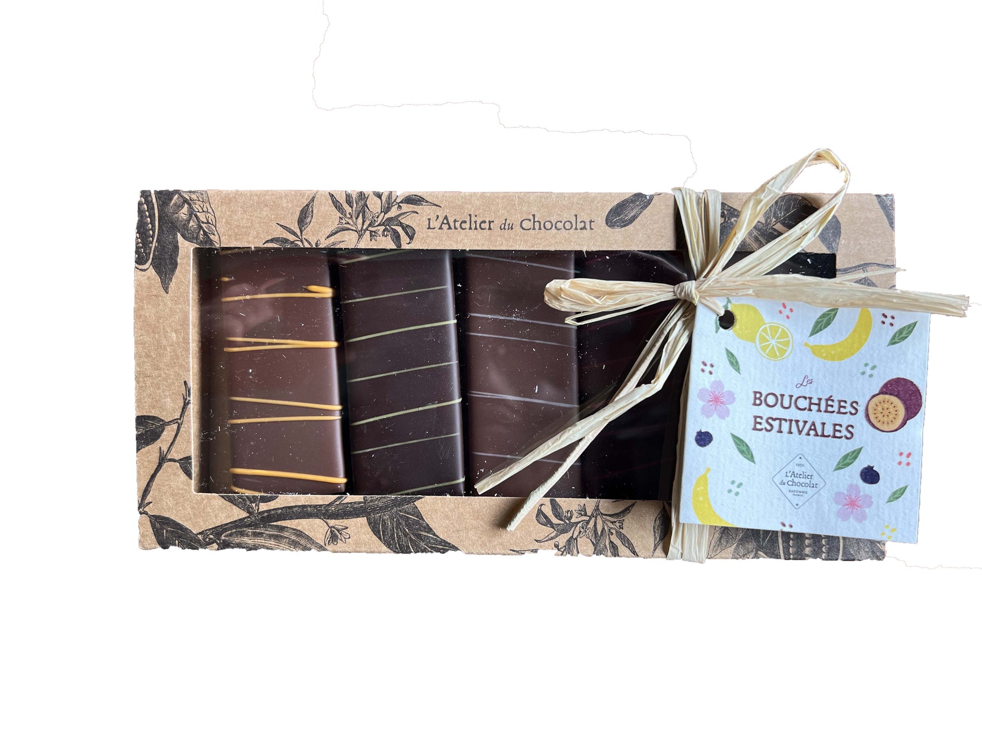 BOX OF 5 FRUITY BITES DARK AND MILK CHOCOLATE