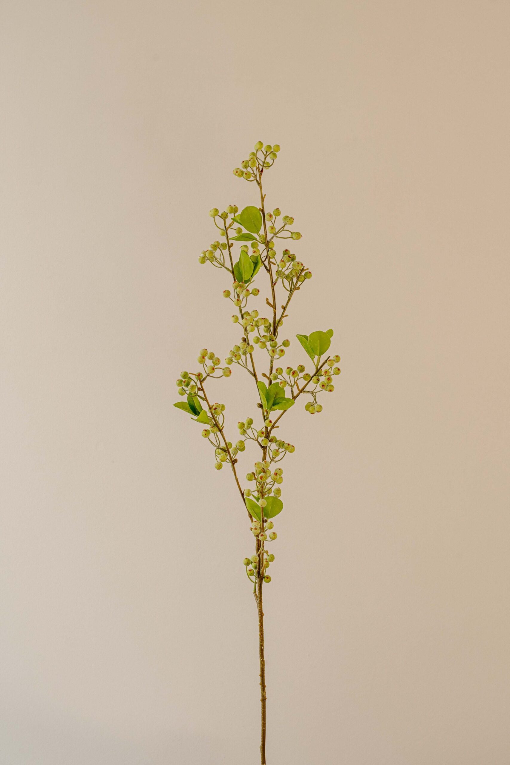 Indore Silva - Bessentak - Groen - kunsttak - zijde