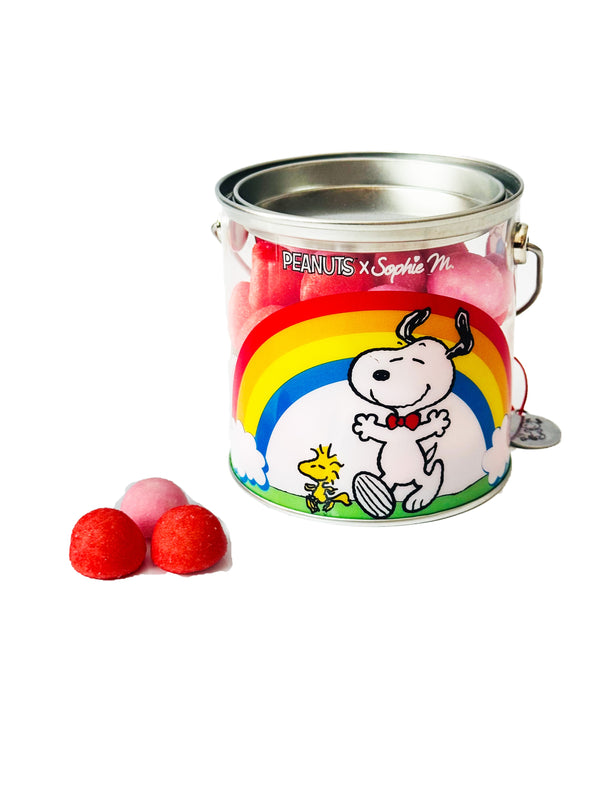 PEANUTS SNOOPY Strawberry Basket
