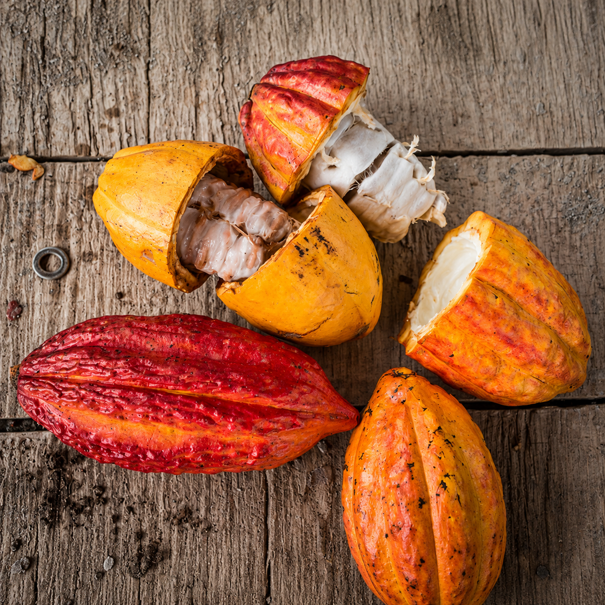 Cocoa Juice