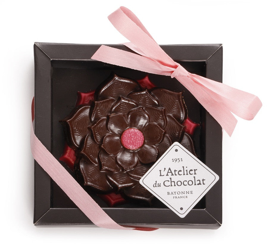 Solidarity Chocolate Composition October Rose