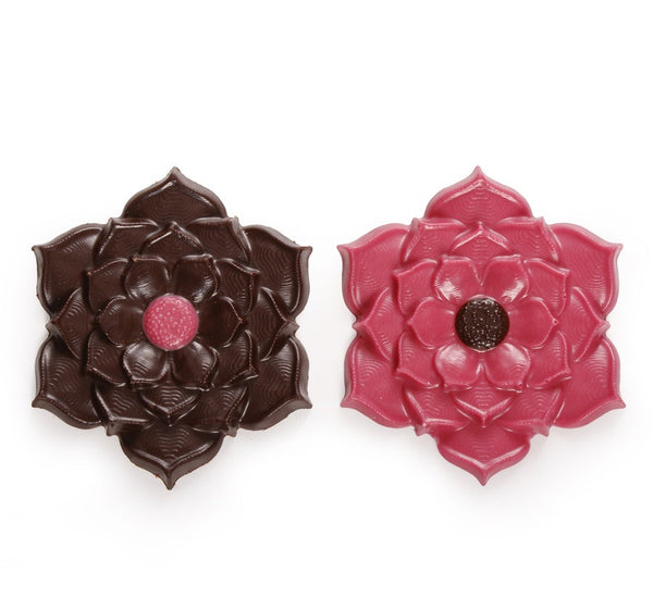 Solidarity Chocolate Composition October Rose