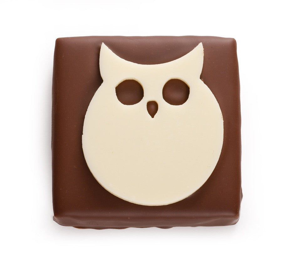 Halloween Owl Bite Milk Chocolate with Sparkling Praline