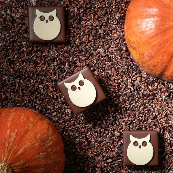 Halloween Treat Gift Composition · Halloween Chocolates