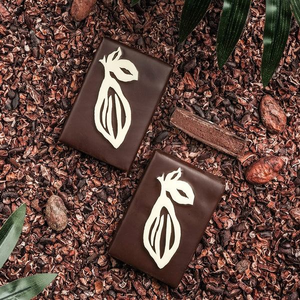 Kerst Cacao Pod · Costa Rica Donkere Chocolade Ganache