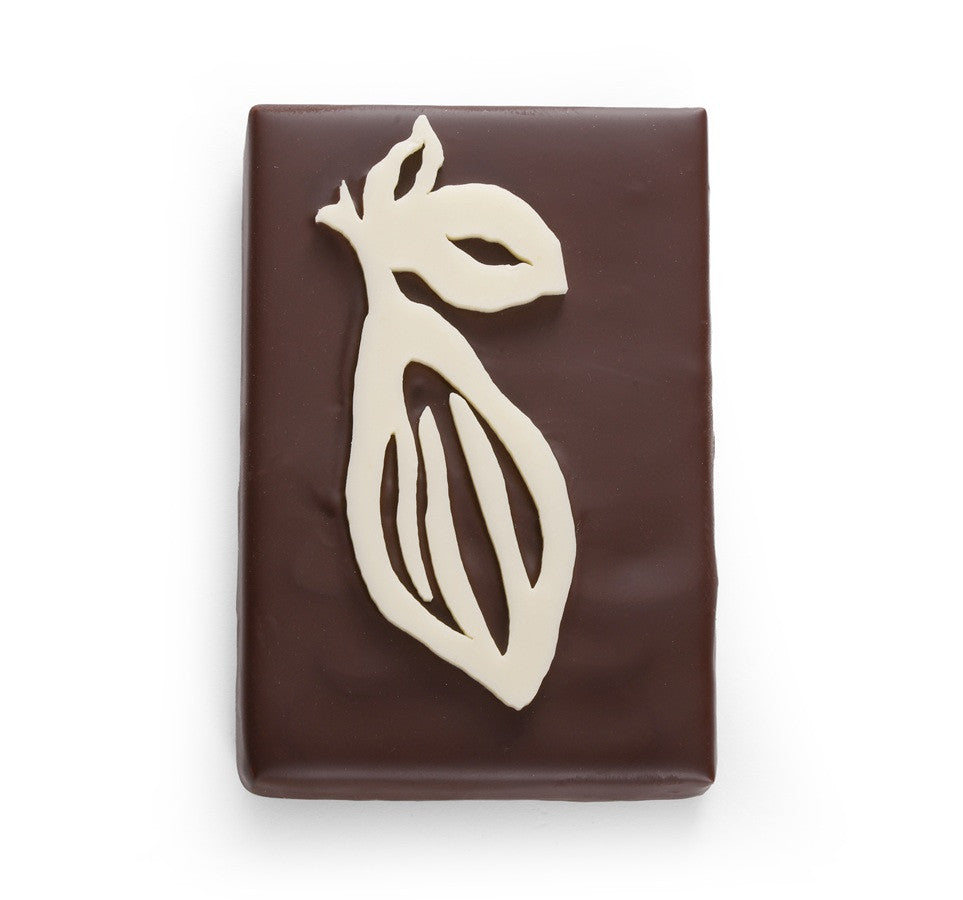 Kerst Cacao Pod · Costa Rica Donkere Chocolade Ganache