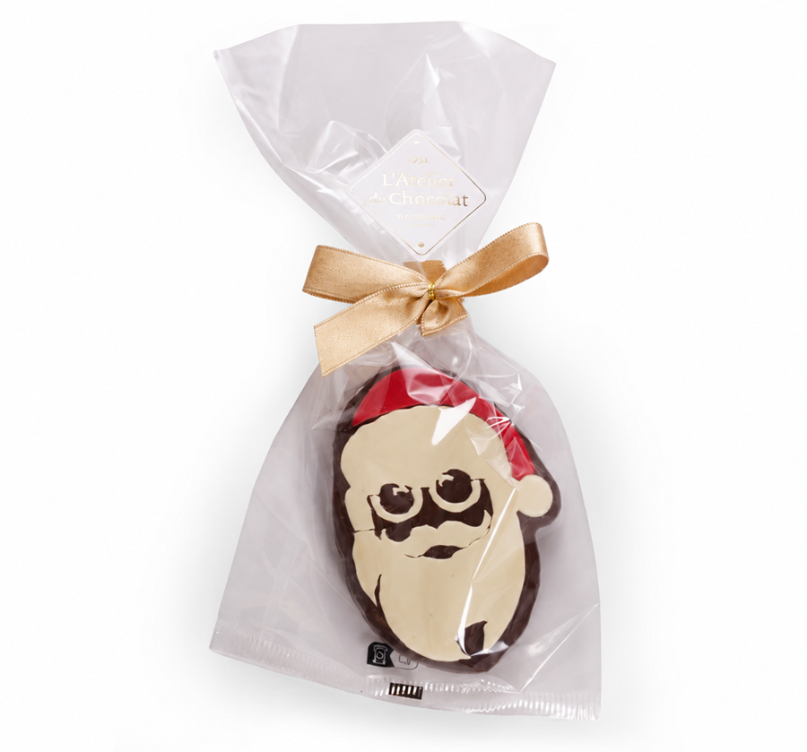 Rode Kerstman Figuur · Melk Chocolade Praline