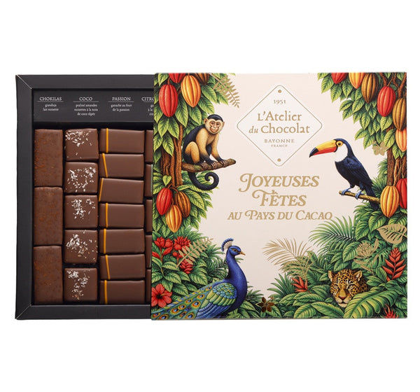 Scatola di Cioccolato al Latte 100% Ilbarritz · Buone Feste