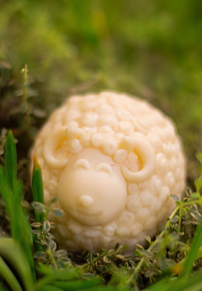 Ester the Sheep - Lanolin Soap