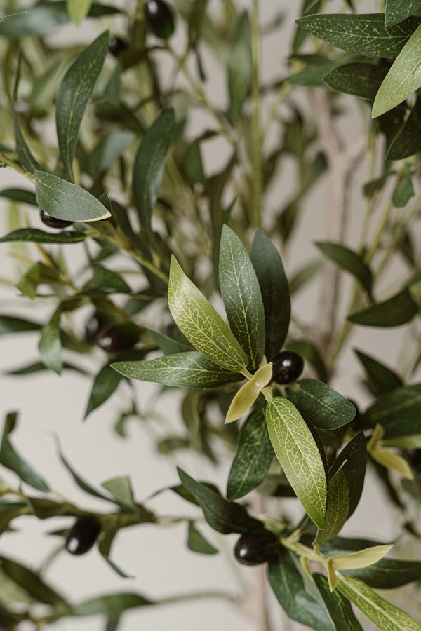 Indore Silva - Artificial Olive Tree - 155cm