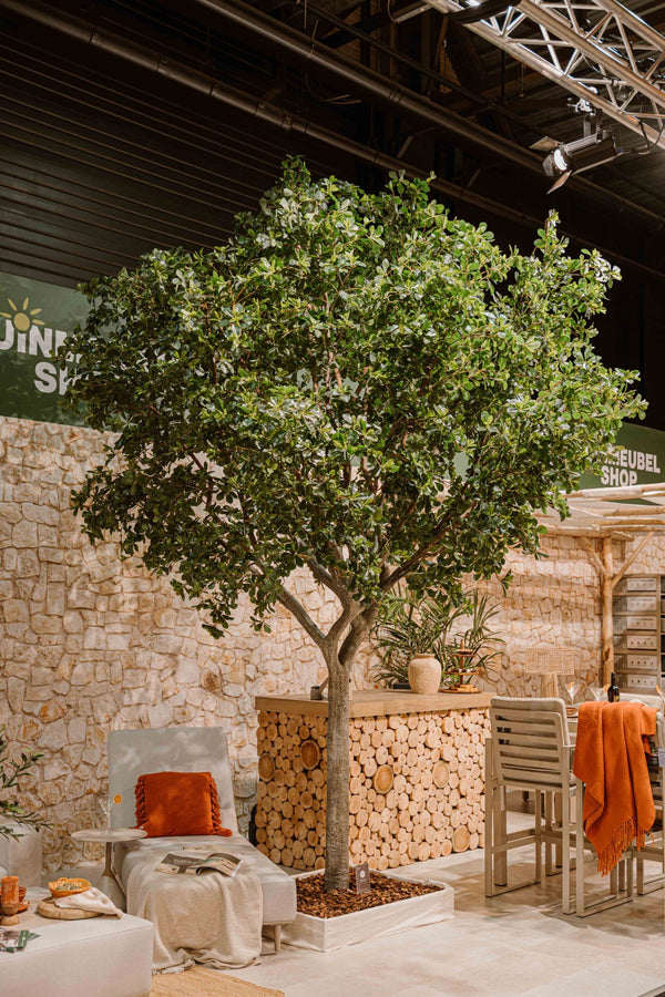 Indore Silva - Kunstmatige Ficusboom XXL - 400cm -