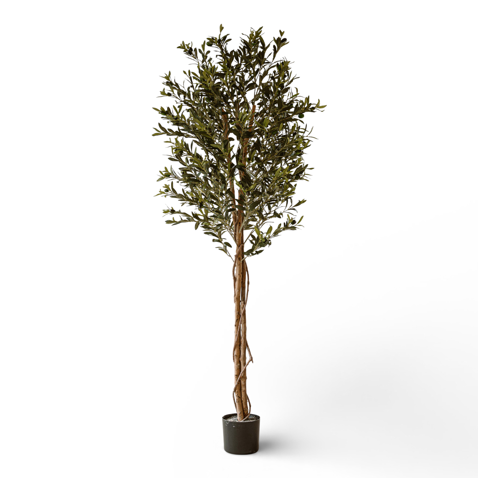 Kunst Olijfboom 180 cm - Mediterrane Olijfboom Kunstplant - Stijlvolle Kamerplant - Indore Home