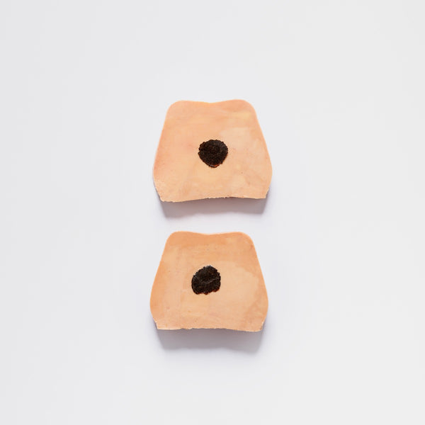 Truffled duck foie gras 3% 2 slices - 120g