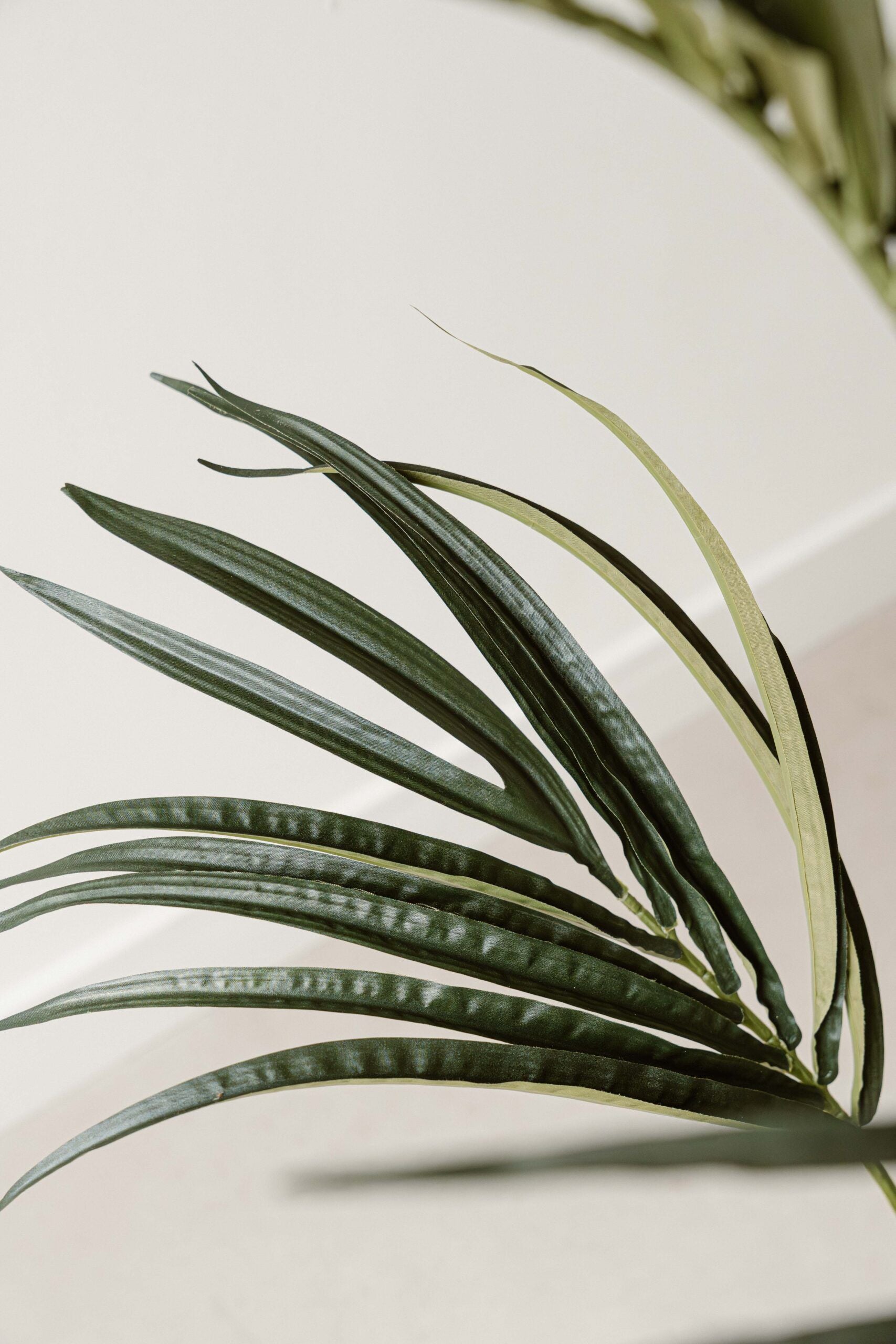 Indore Silva - Kunstmatige Kentia Palm - 180cm - Levertijd 2-3 weken