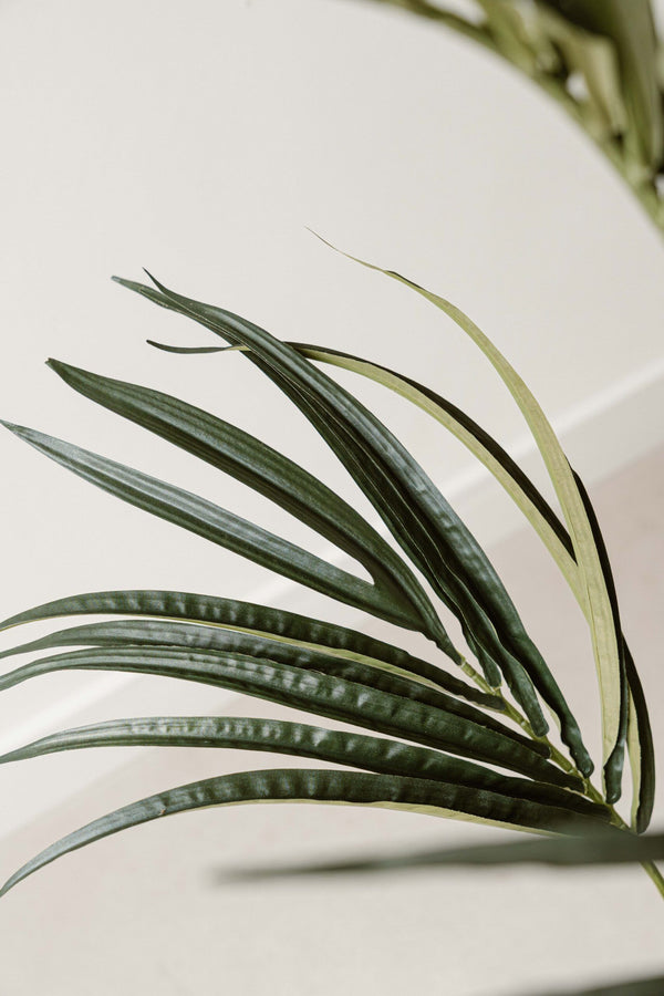 Indore Silva - Kunstmatige Kentia Palm - 180cm - Levertijd 2-3 weken