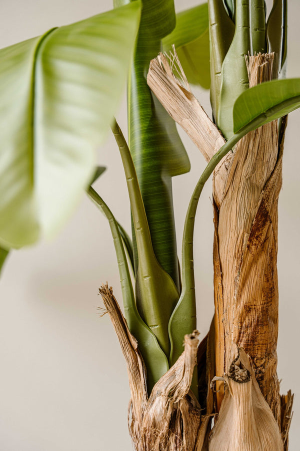 Indore Silva - Artificial Banana Plant - 160cm