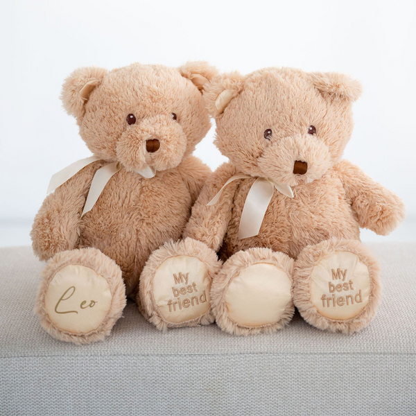 Best friend teddy bear