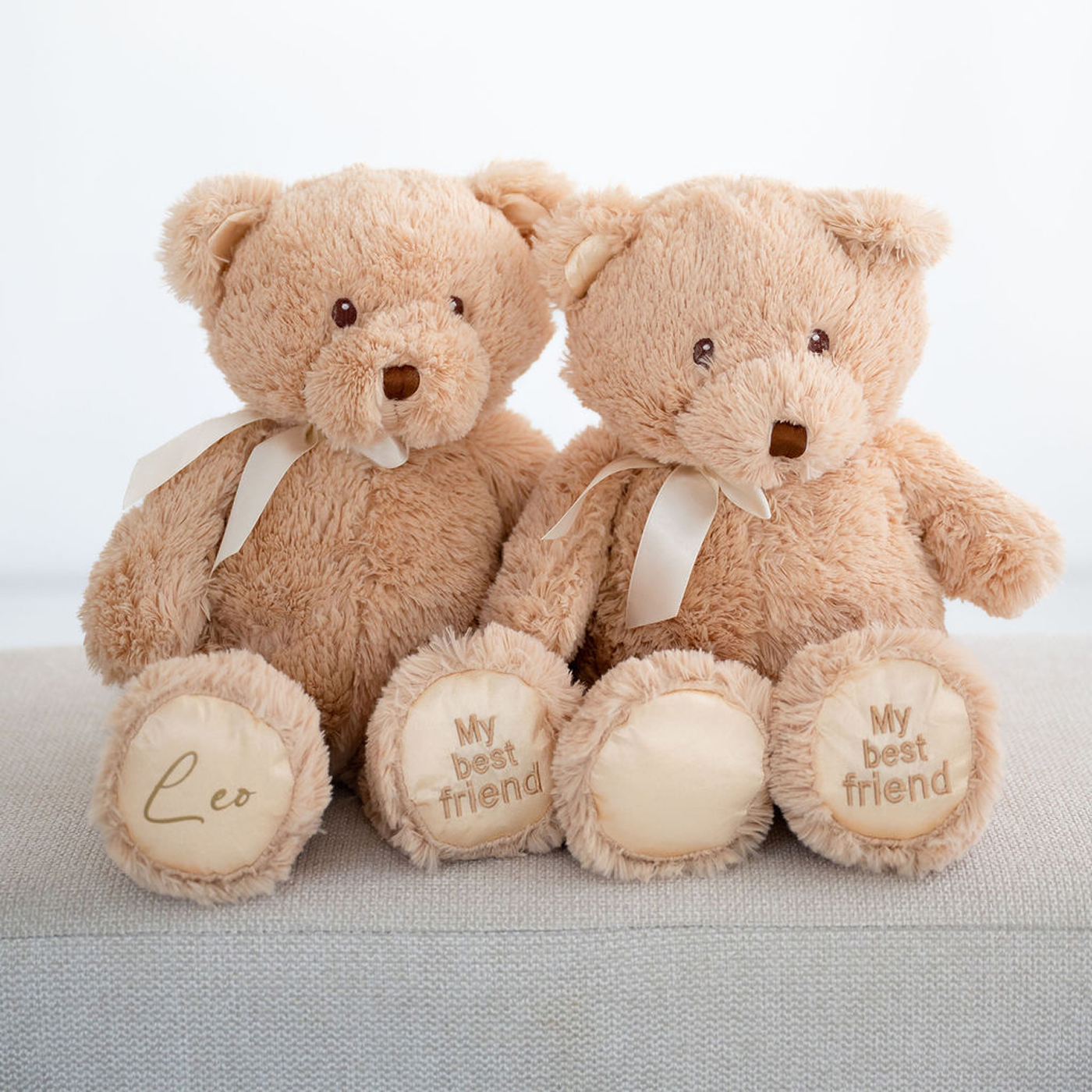 Best friend teddy bear