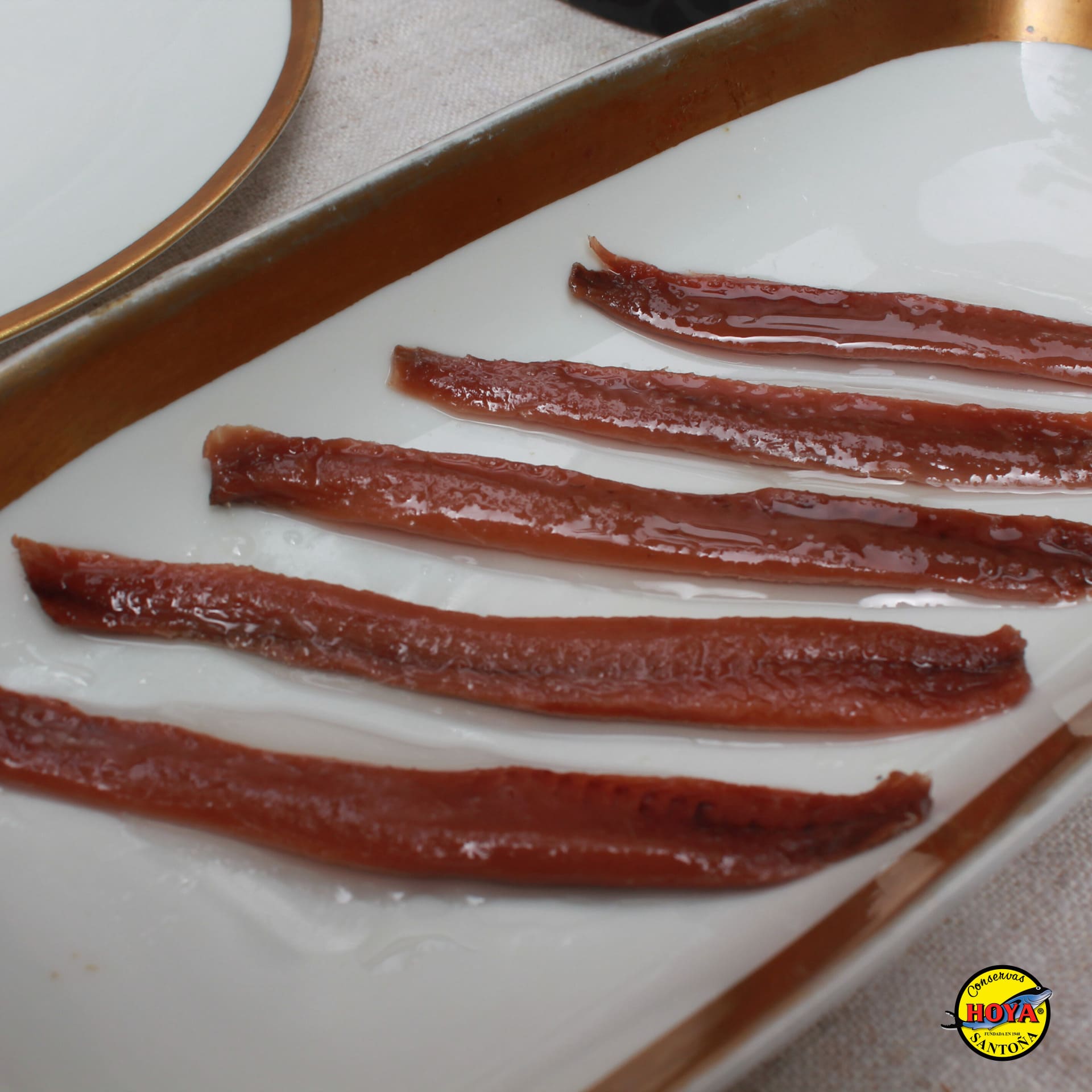Cantabrian Anchovies in Olive Oil HOYA GOLD SERIES 170g