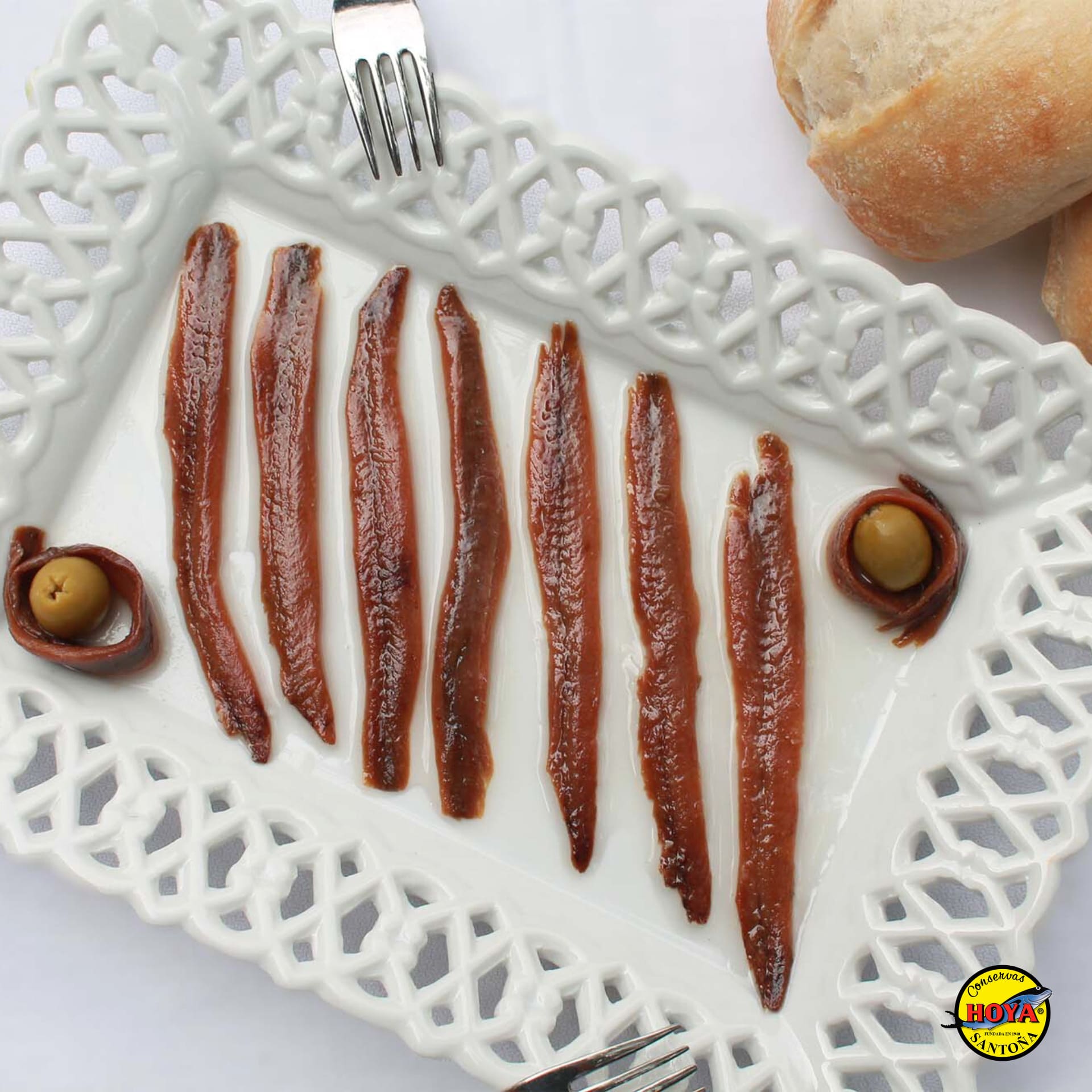 Cantabrian Anchovies in Olive Oil HOYA 49g