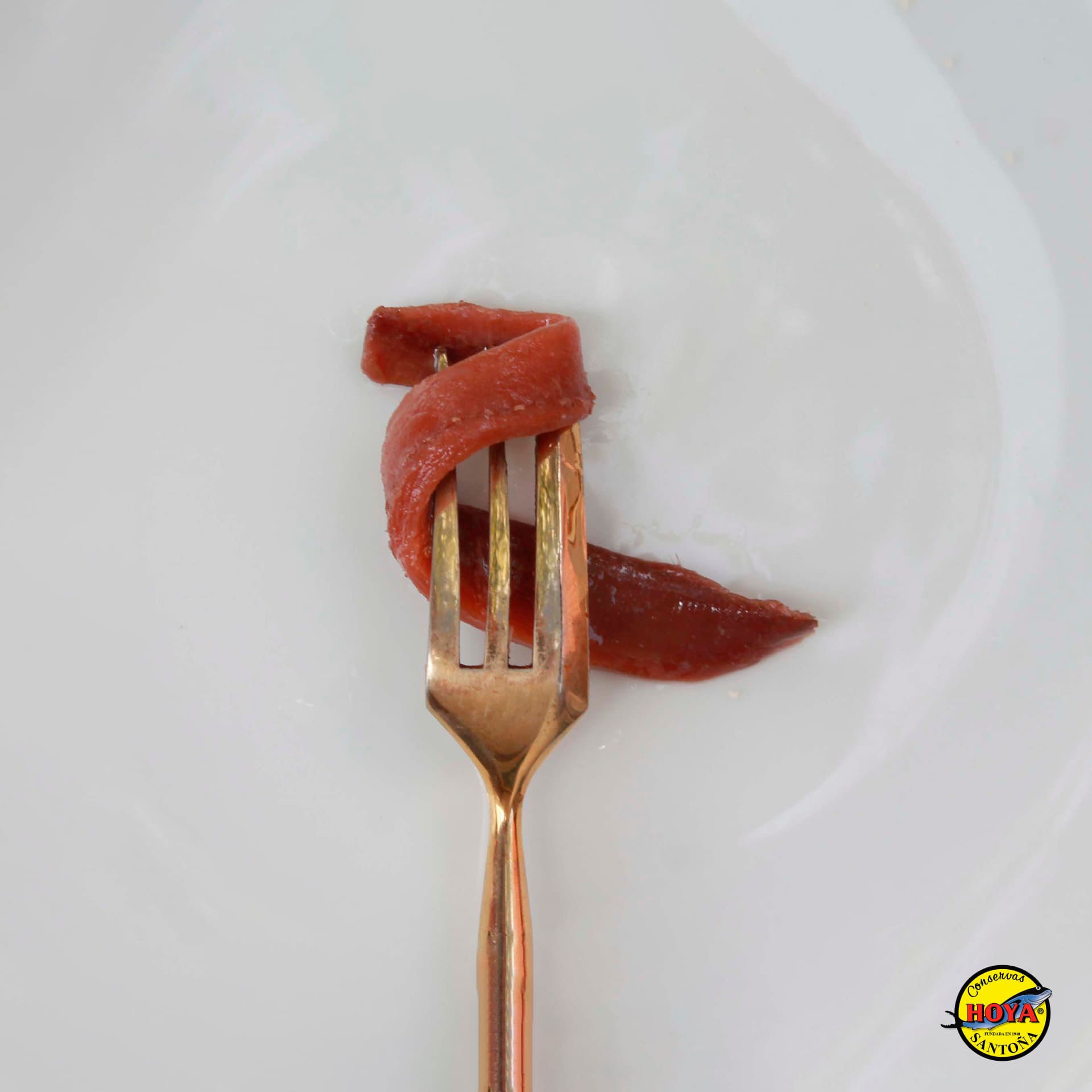 Cantabrian Anchovies in Olive Oil HOYA GOLD SERIES 78g