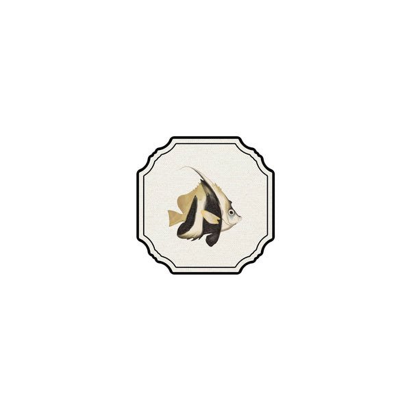 Animated Frame Coaster