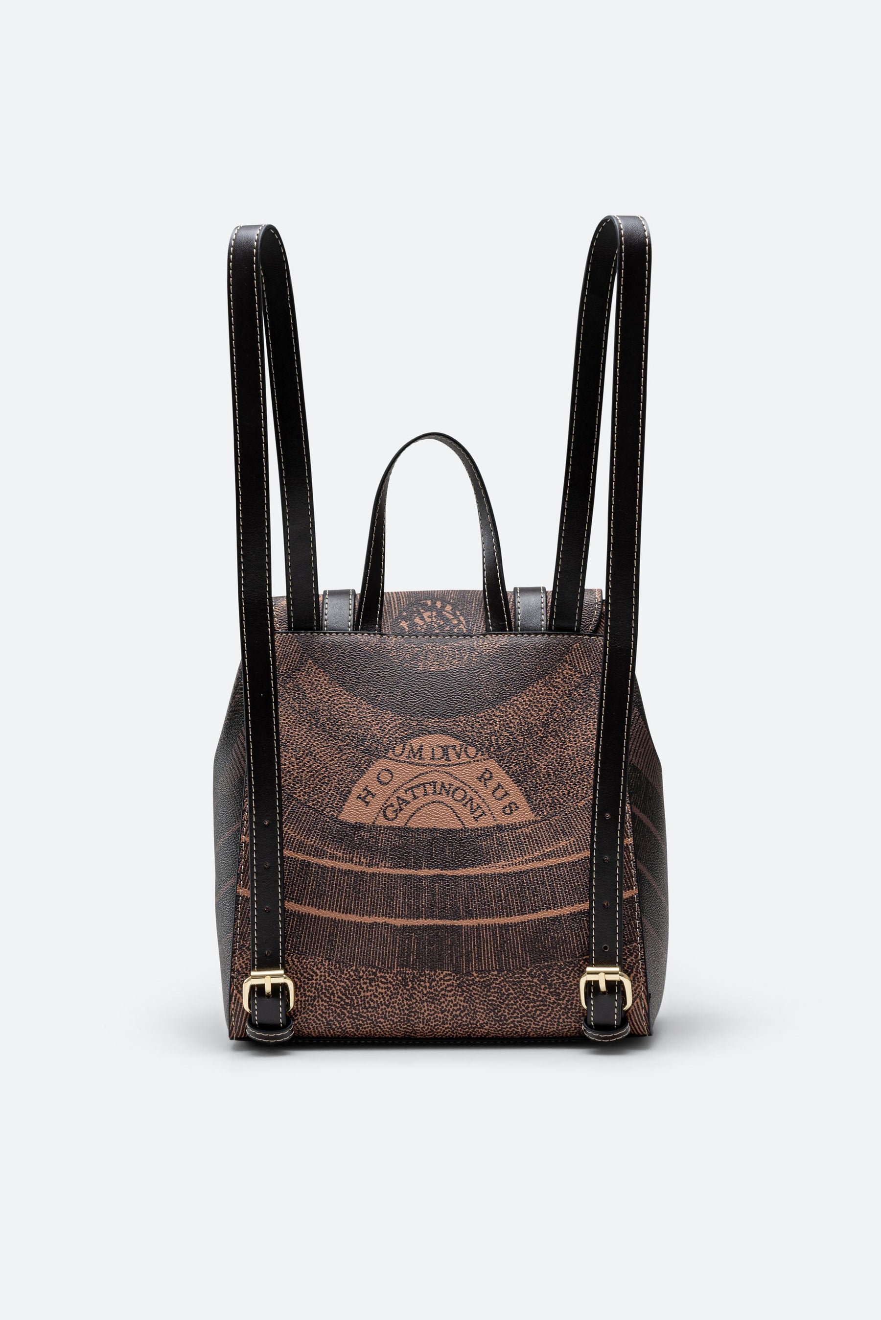 Bicolor Planetarium Flap Backpack in Brown with Black Leather Finish