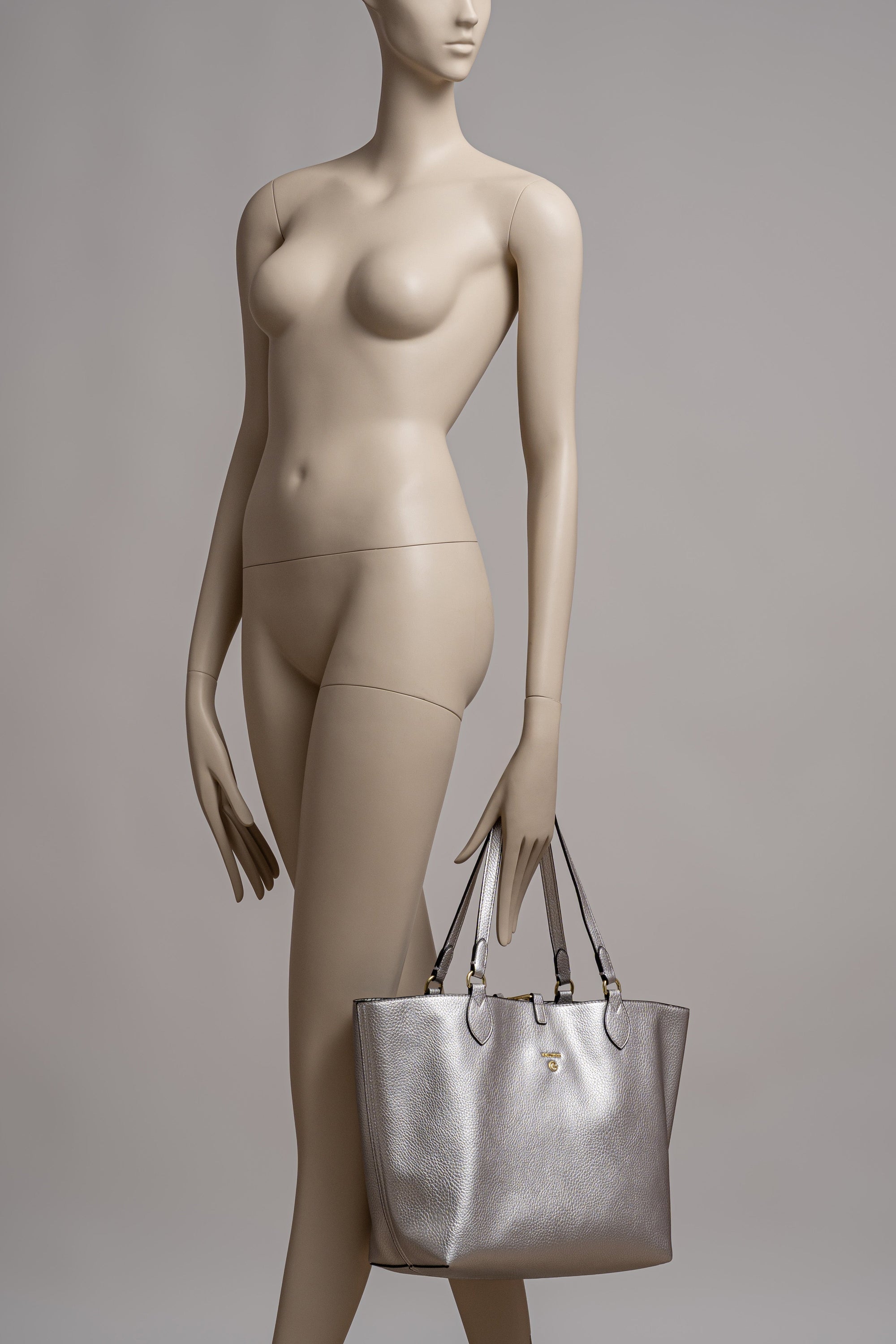 Reversible Planetarium Silver Small