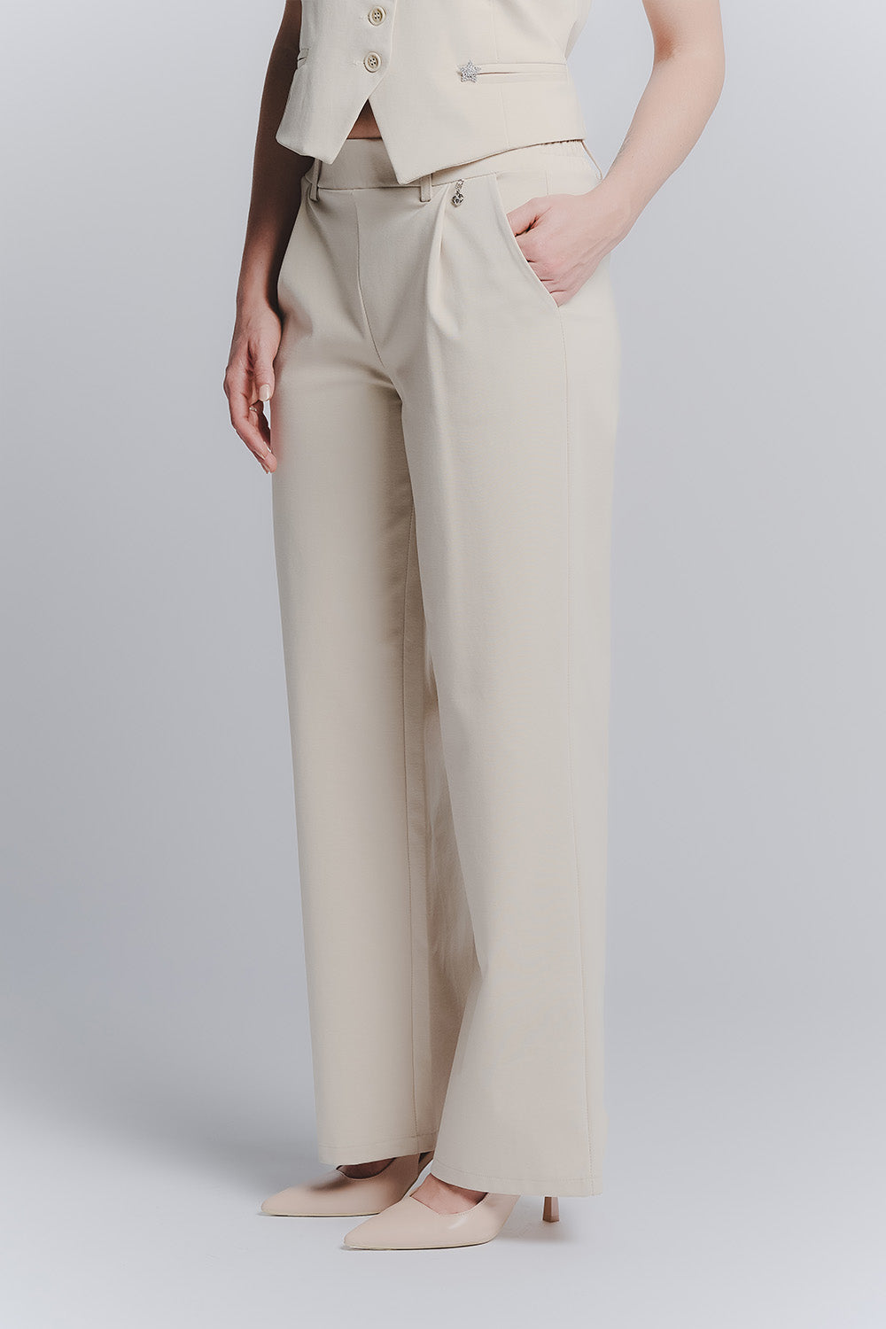 Beige Palazzo Pants Shine