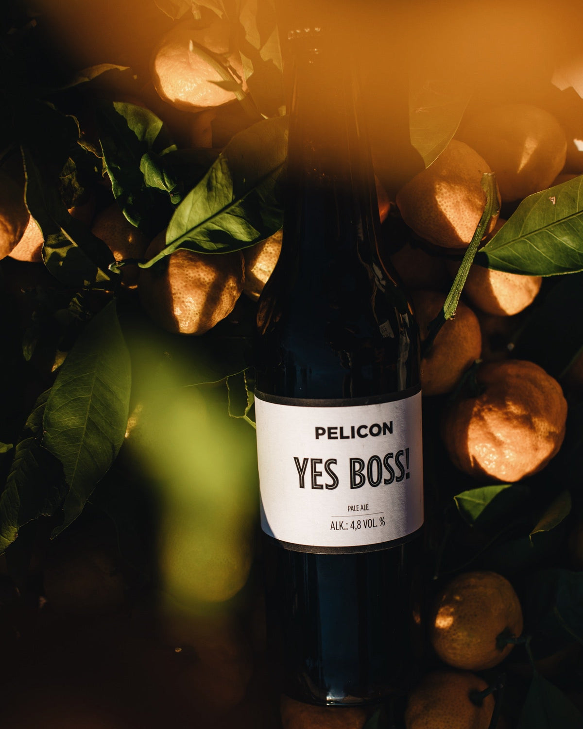 Yes Boss! – pale ale 4,8 % – 500 ml – Pelicon