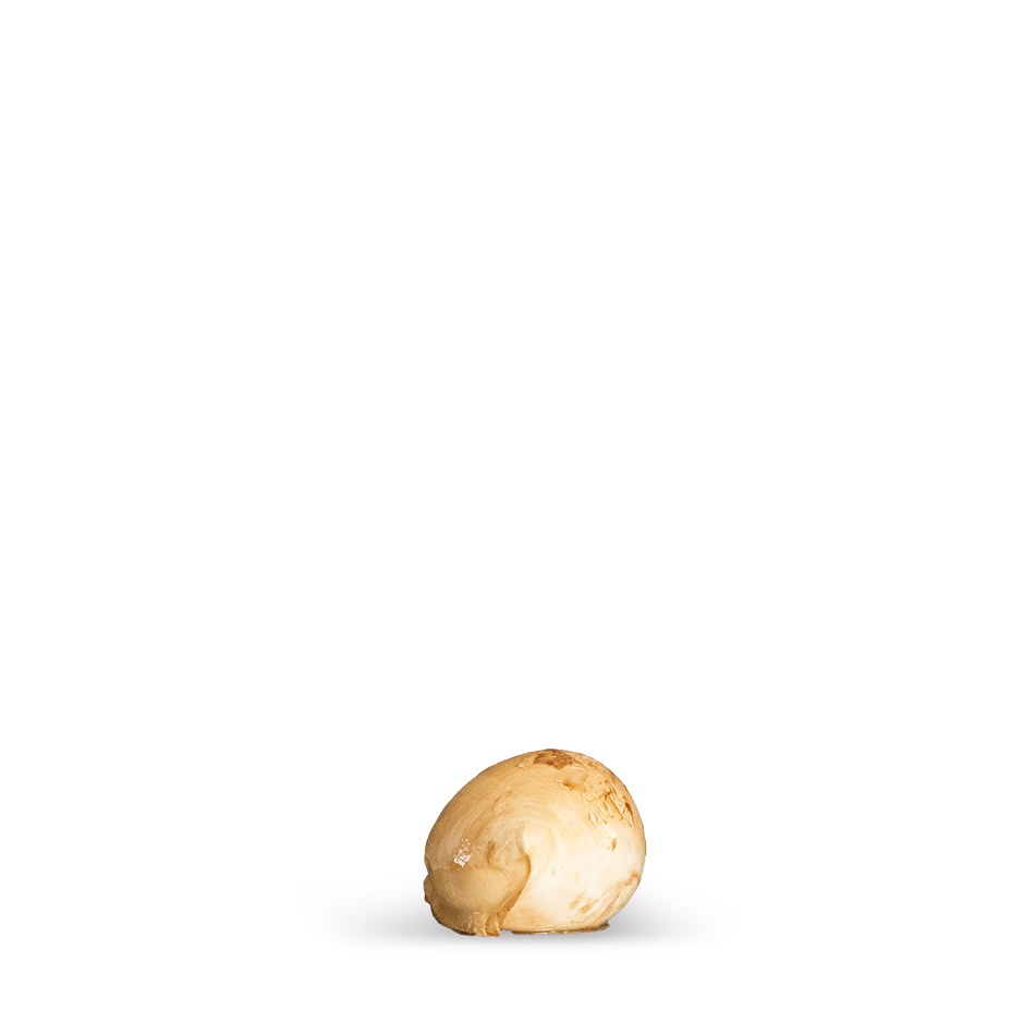 Smoked Mozzarella 50g (5 pieces of 50g) - 100% Buffalo Milk