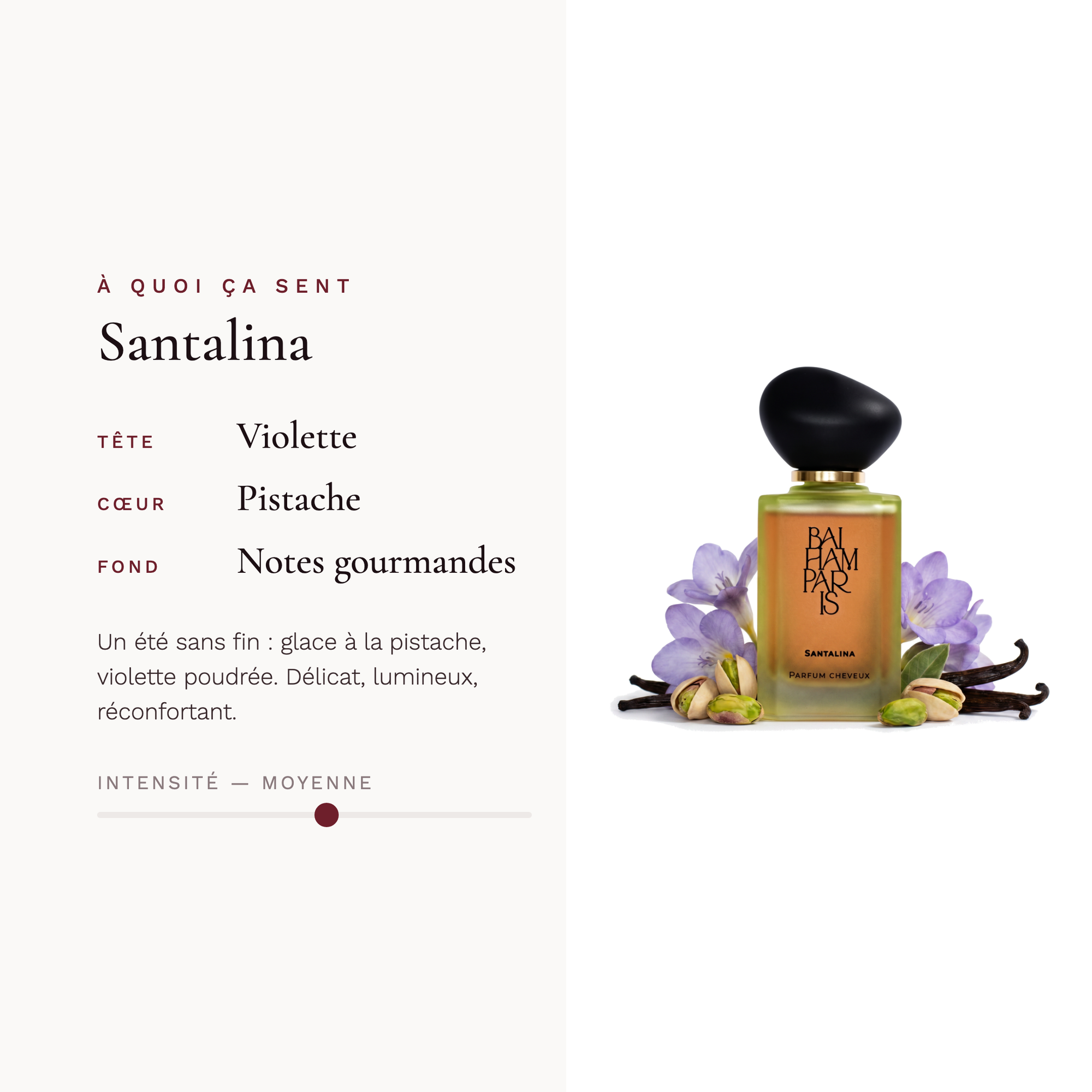 Santalina