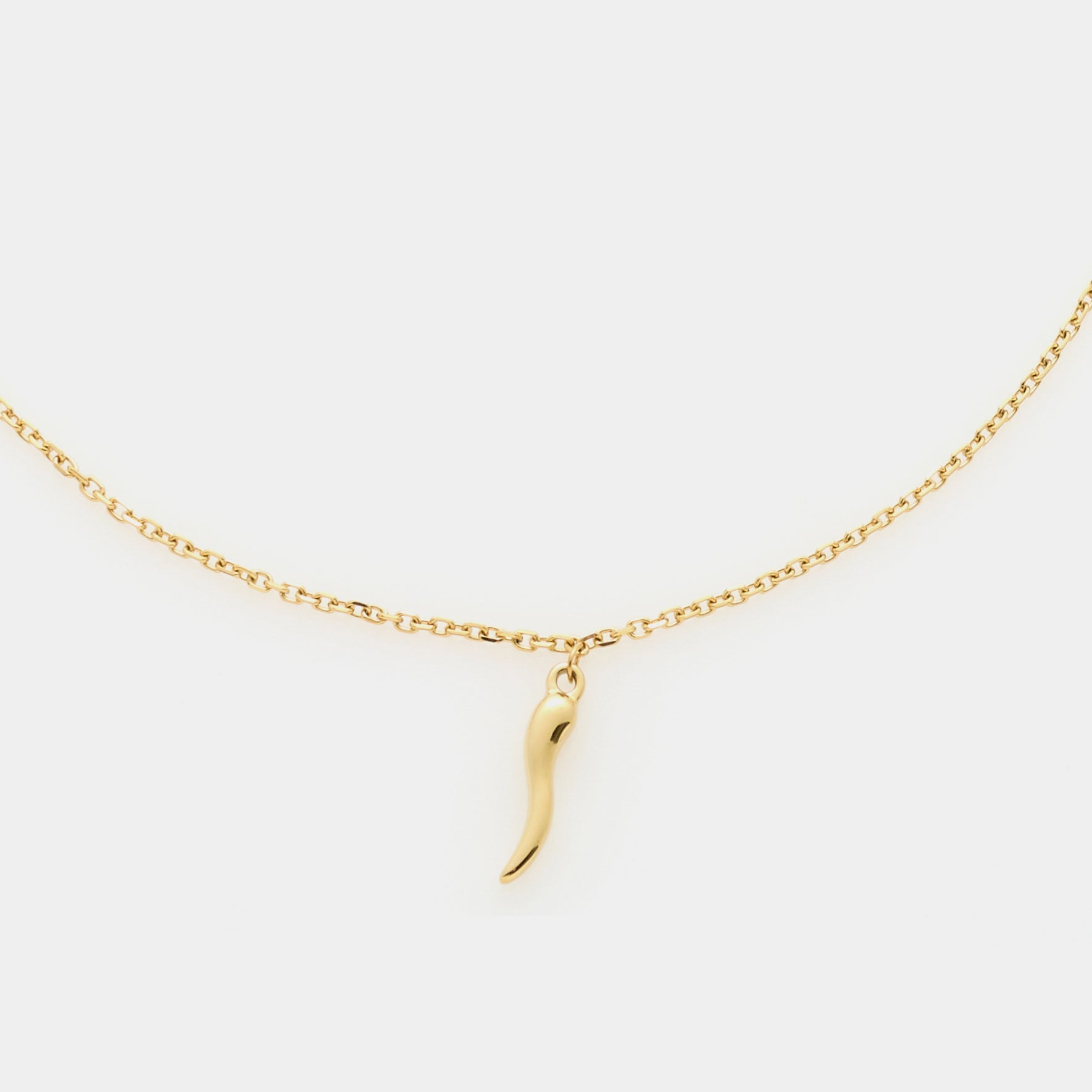 Gold-plated steel necklace with fine rolo chain and central golden steel horn pendant