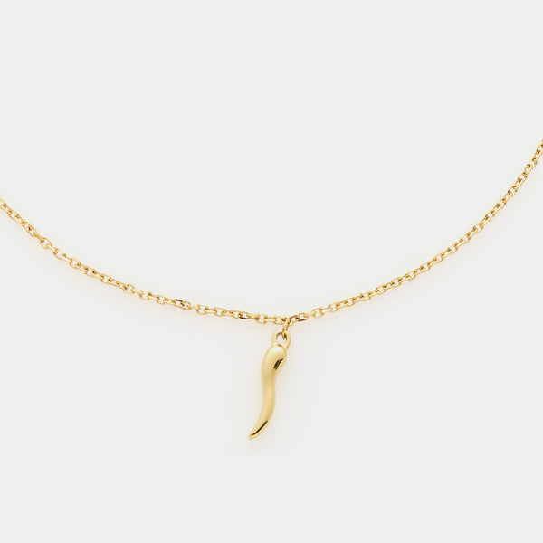 Gold-plated steel necklace with fine rolo chain and central golden steel horn pendant