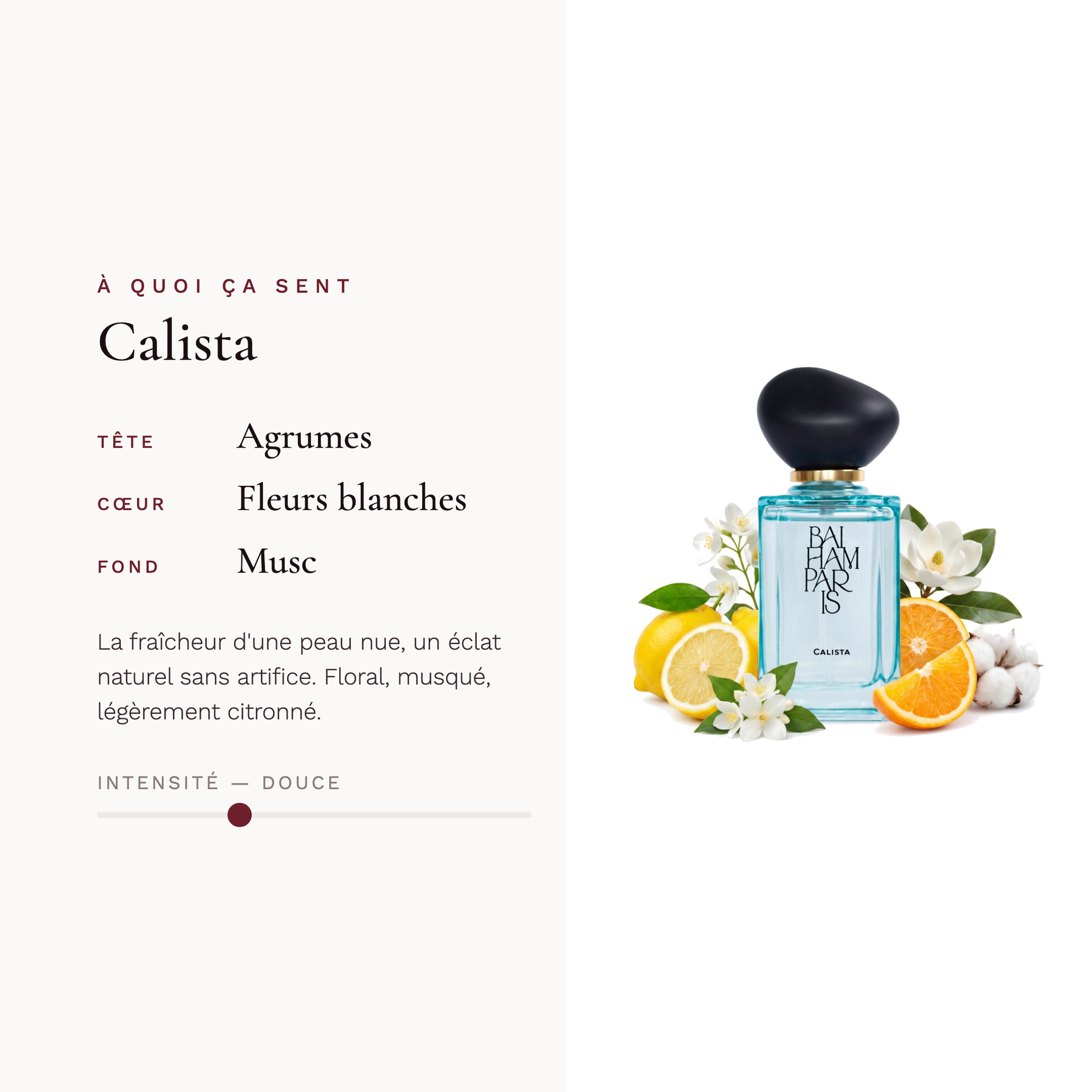 Calista