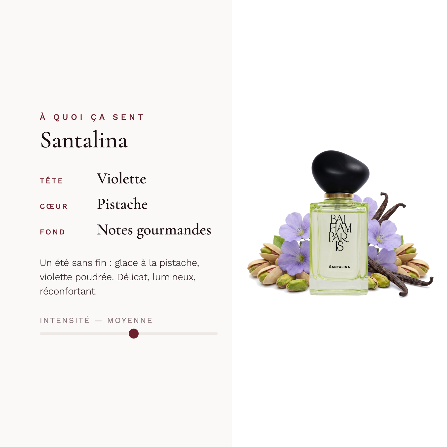 Santalina
