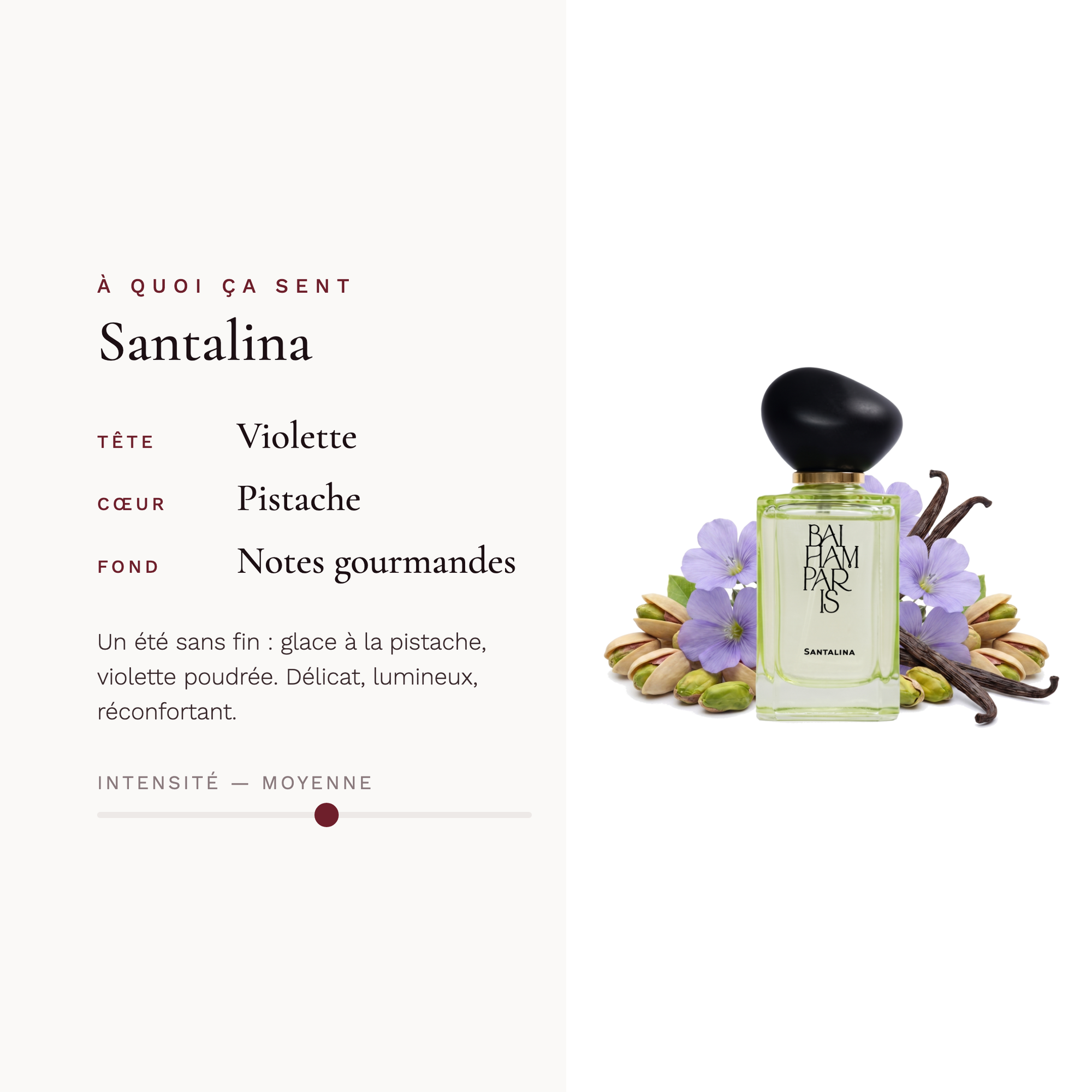 Santalina