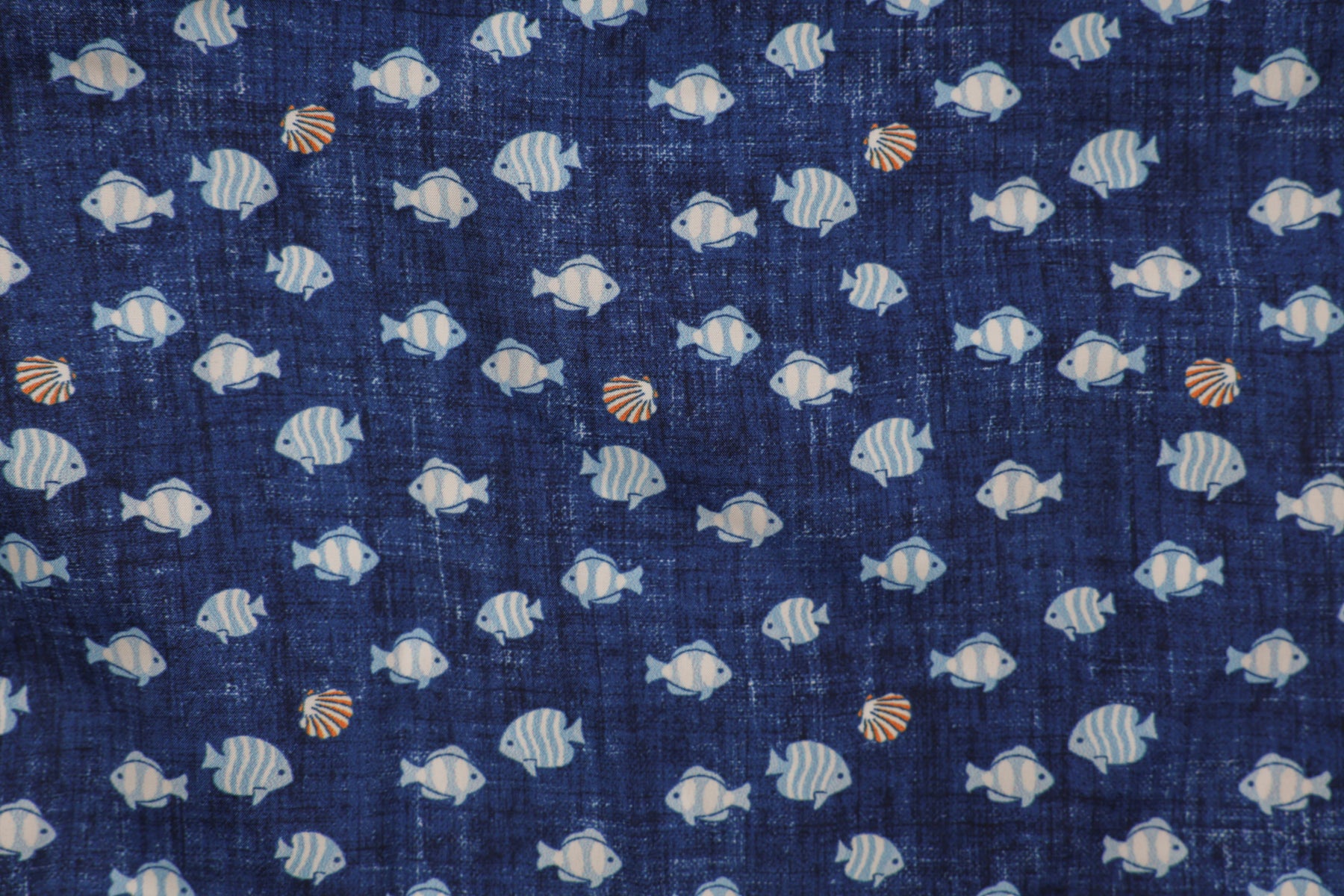 Fish Swimwear