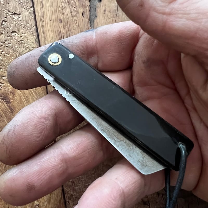 COUTEAU BASQUE PLIANT BASKOKAMI-BUFFLE