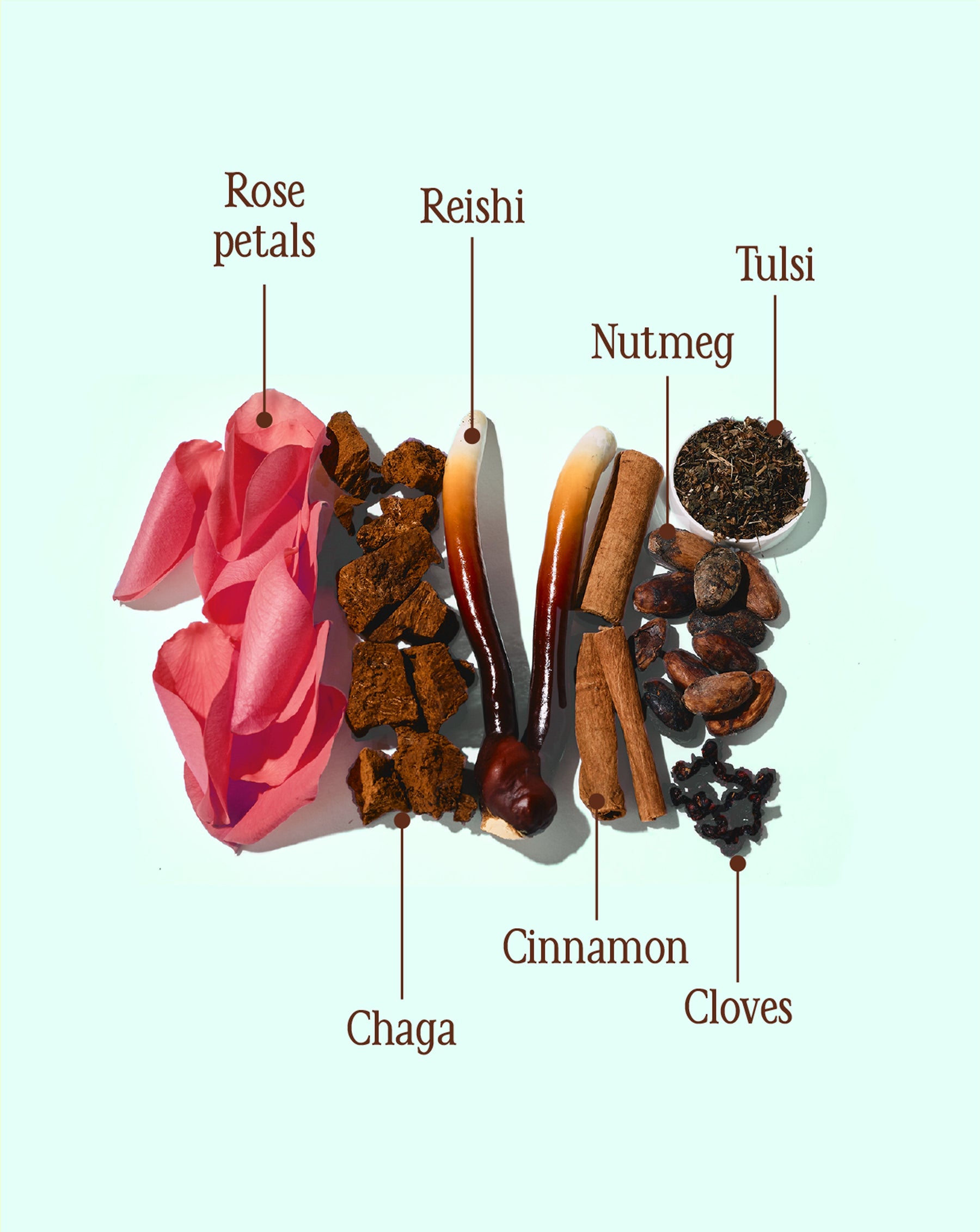 Cacao ☾