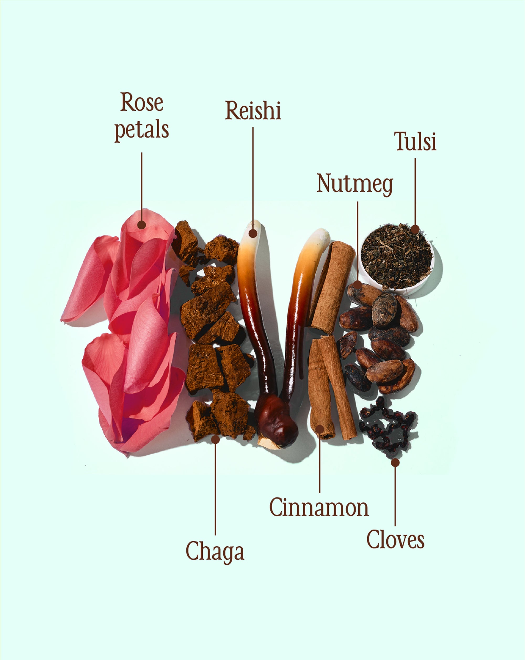 Cacao ☾