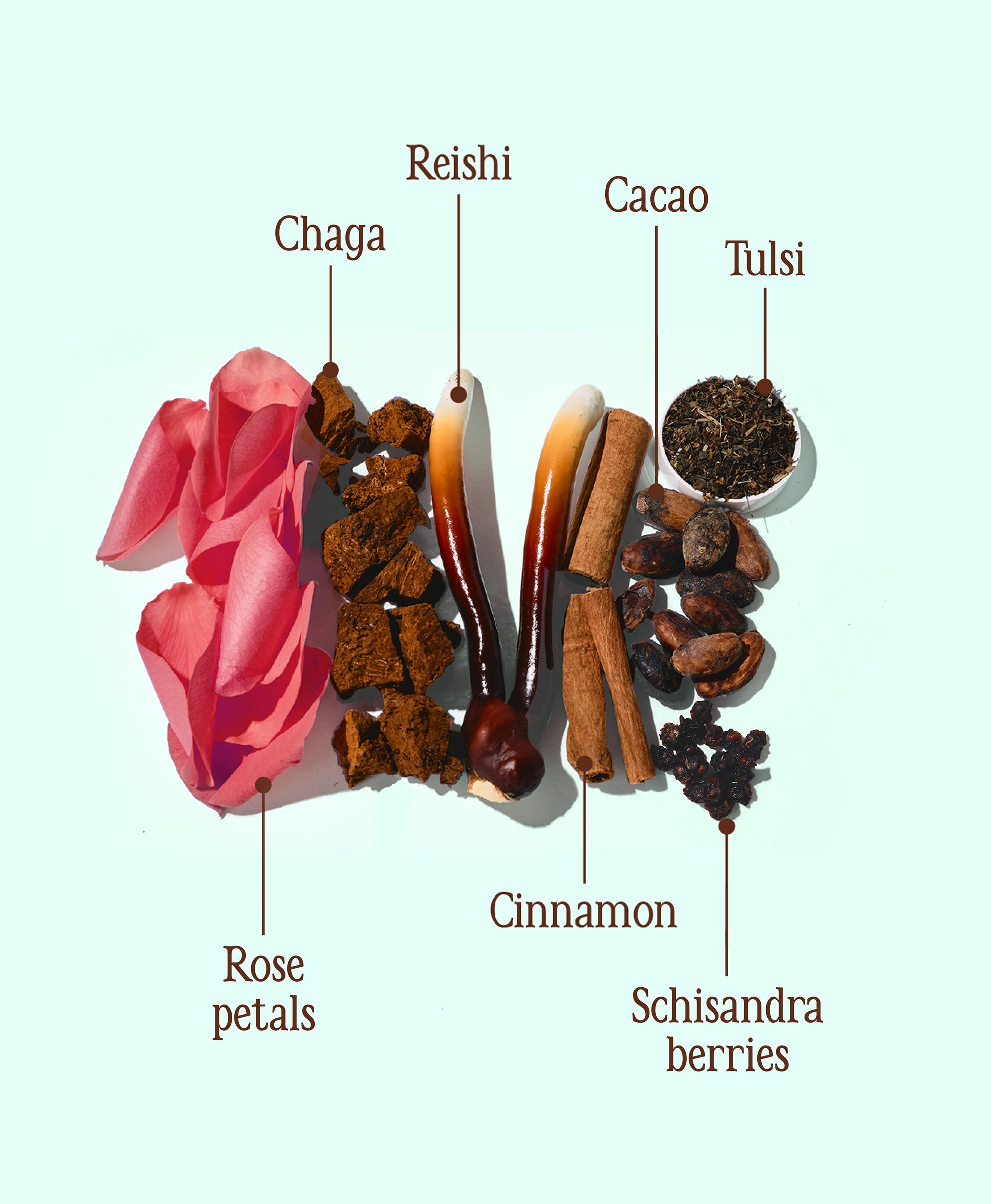 Dagelijkse Cacao Ritueel bundel